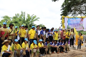 โครงการปลูกหญ้าแฝกป้องกันตลิ่งพัง  ประจำปีงบประมาณ พ.ศ.2567